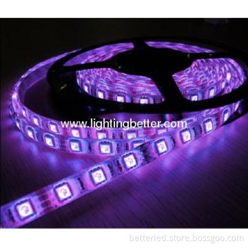 BETTER High lumens purple color waterproof SMD3528 Led Strip